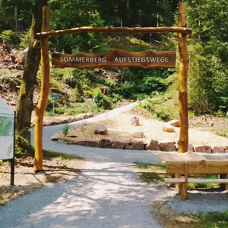 Lejlighed Relax 2 Bad Wildbad